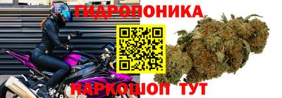 каннабис Лесосибирск