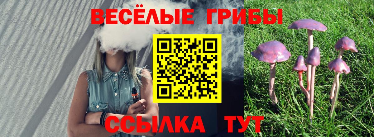 Калач-на-Дону  Галлюциногенные грибы прущие грибы  Вход с VPN 